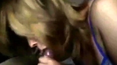 Real amateur cumshot compilation