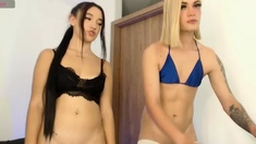 Amateur shemale tranny asshole fucked