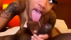 Black and Ebony 2
