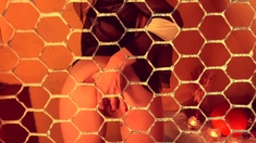 Amateur striptease and Solo masturbation