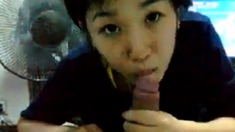 Shino's Blowjob - Japanese Amateur