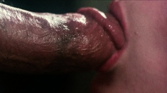 Blowjob and hardcore fucking with babe