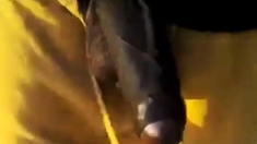 Big Black Cocks Outdoors