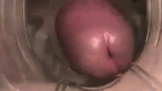 Fleshlight Quickie 4