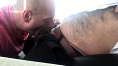 Dad sucking hairy cub