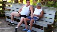 older gays have sex in public park